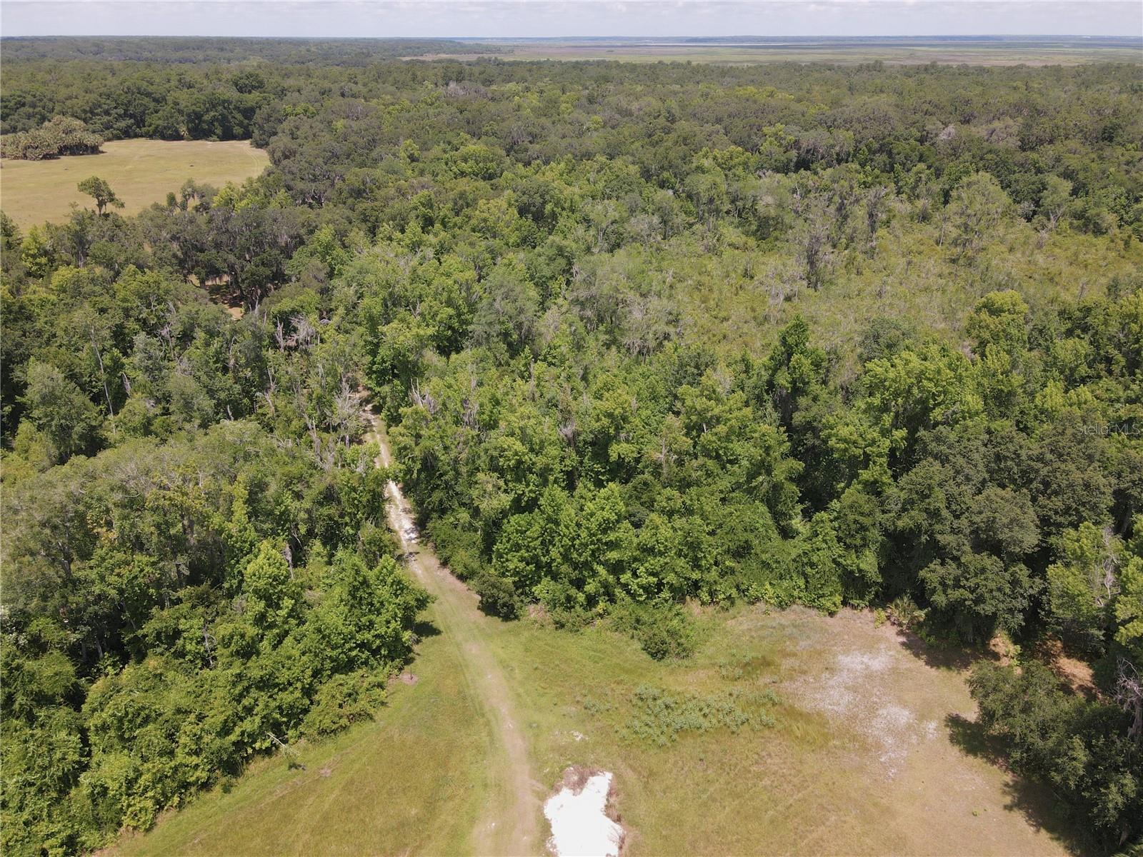 11804 SE COUNTY ROAD 234, MICANOPY, FL — photo 53