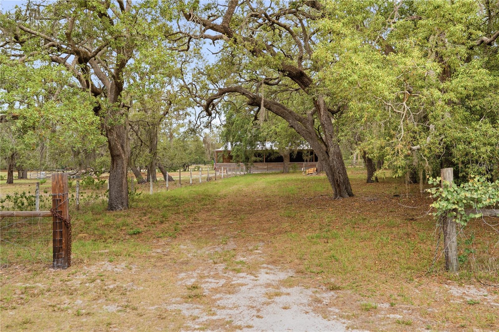 14405 AMY LN, HUDSON, FL — photo 9