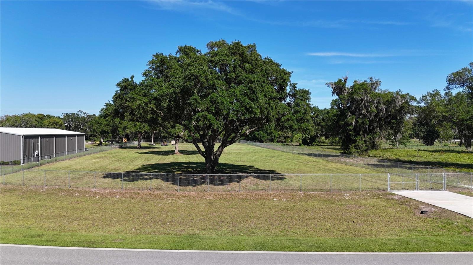 980 DUCK BOX RD, UMATILLA, FL — photo 5