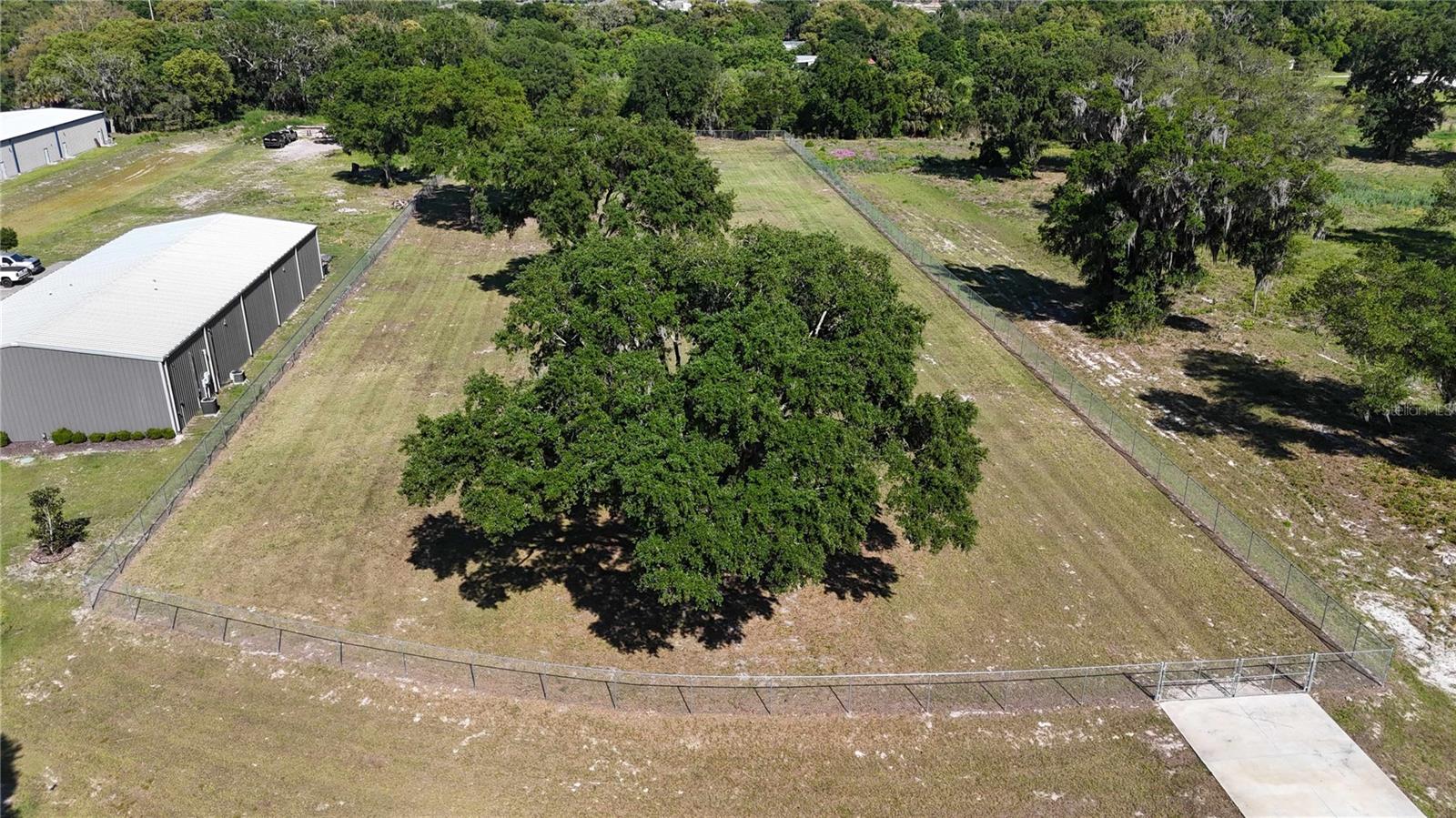 980 DUCK BOX RD, UMATILLA, FL — photo 7