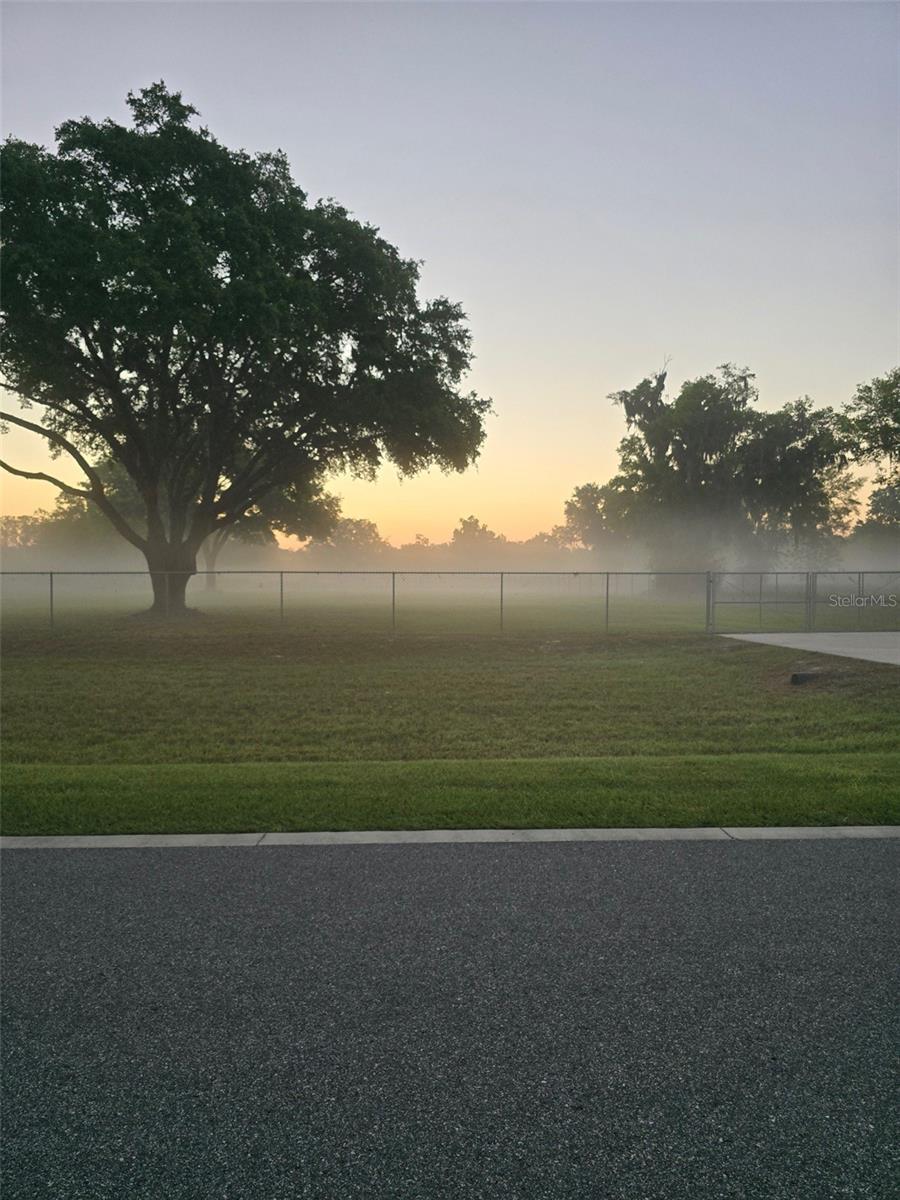 980 DUCK BOX RD, UMATILLA, FL — photo 17