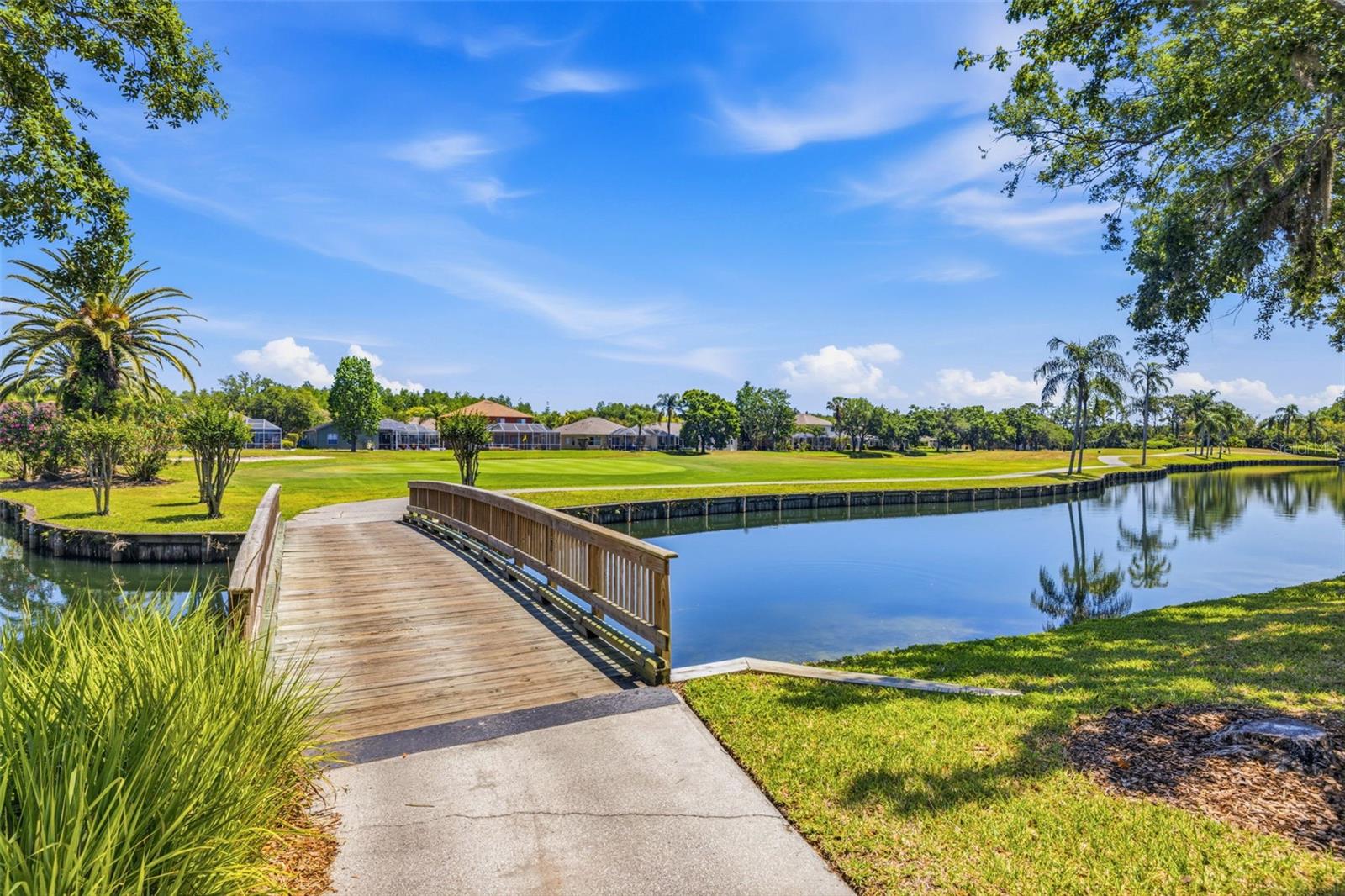 18924 FISHERMANS BEND DR, LUTZ, FL — photo 34