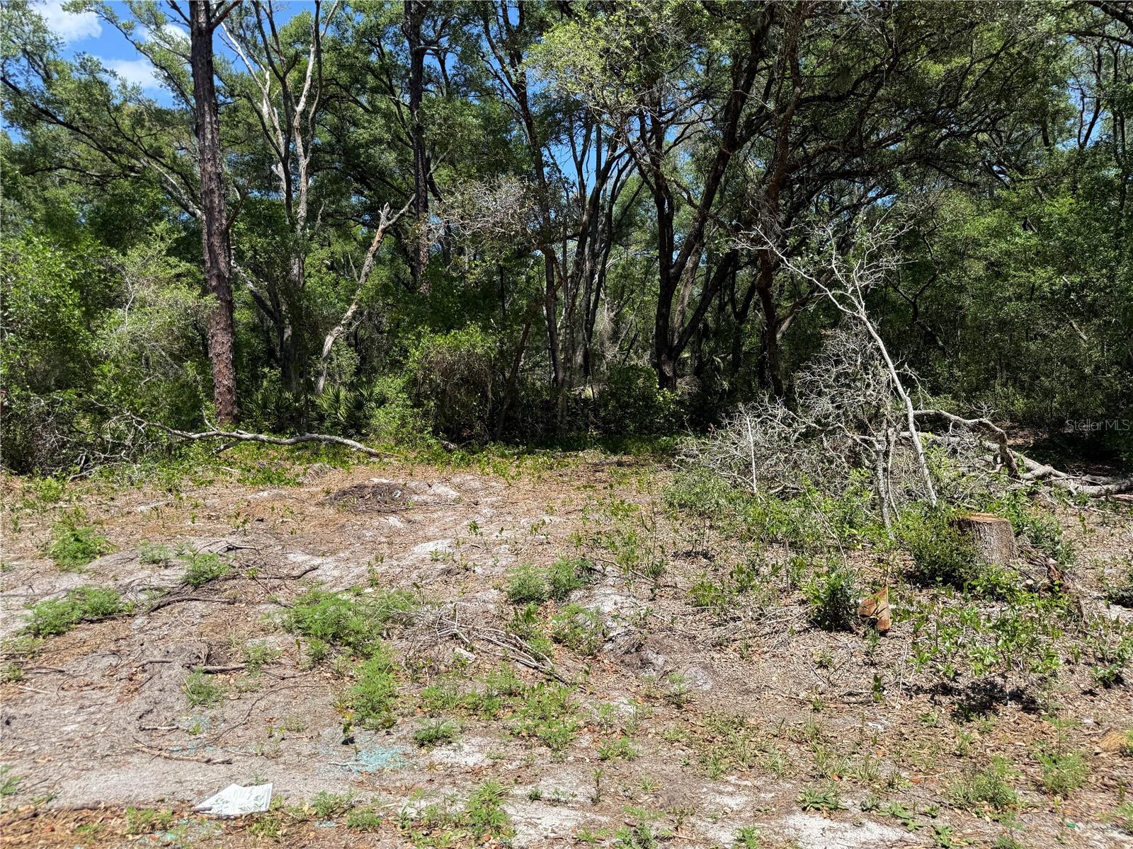 FISCHER LANE CT, OCKLAWAHA, FL — photo 2