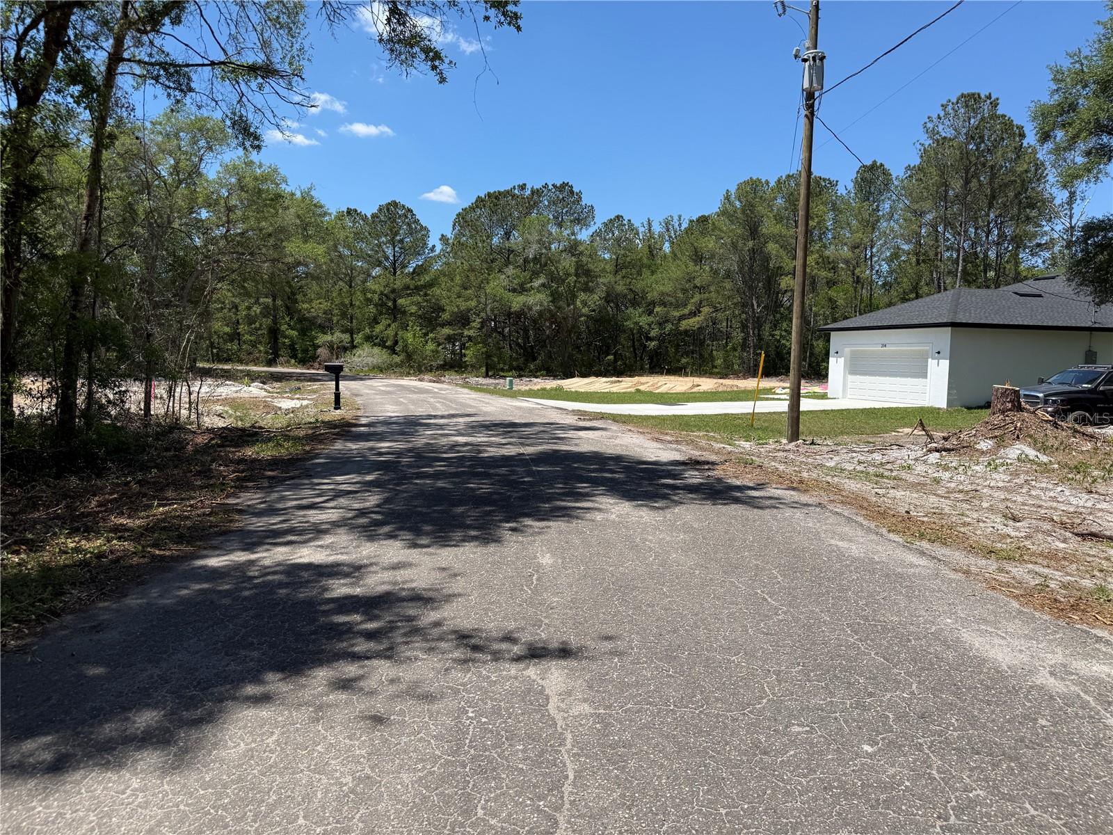 FISCHER LANE CT, OCKLAWAHA, FL — photo 3