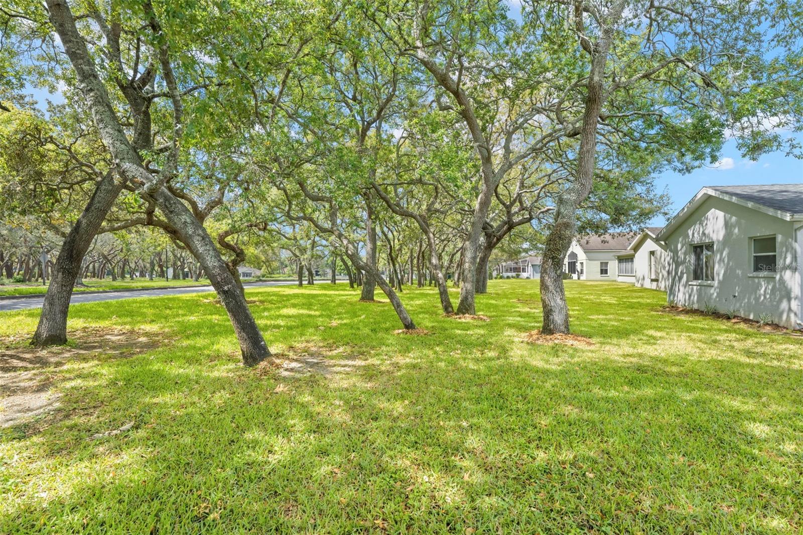 432 MISTWOOD CT, SPRING HILL, FL — photo 52