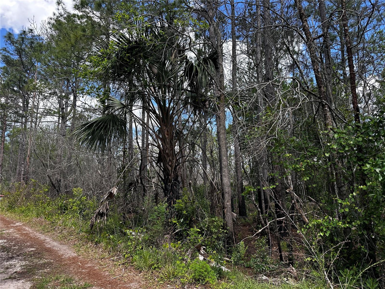 00 KOLA RD, NEW SMYRNA BEACH, FL — photo 2