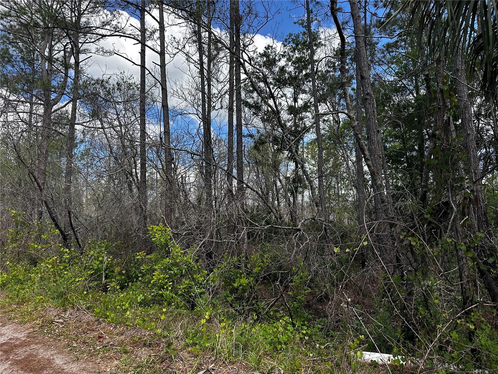 00 KOLA RD, NEW SMYRNA BEACH, FL — photo 3