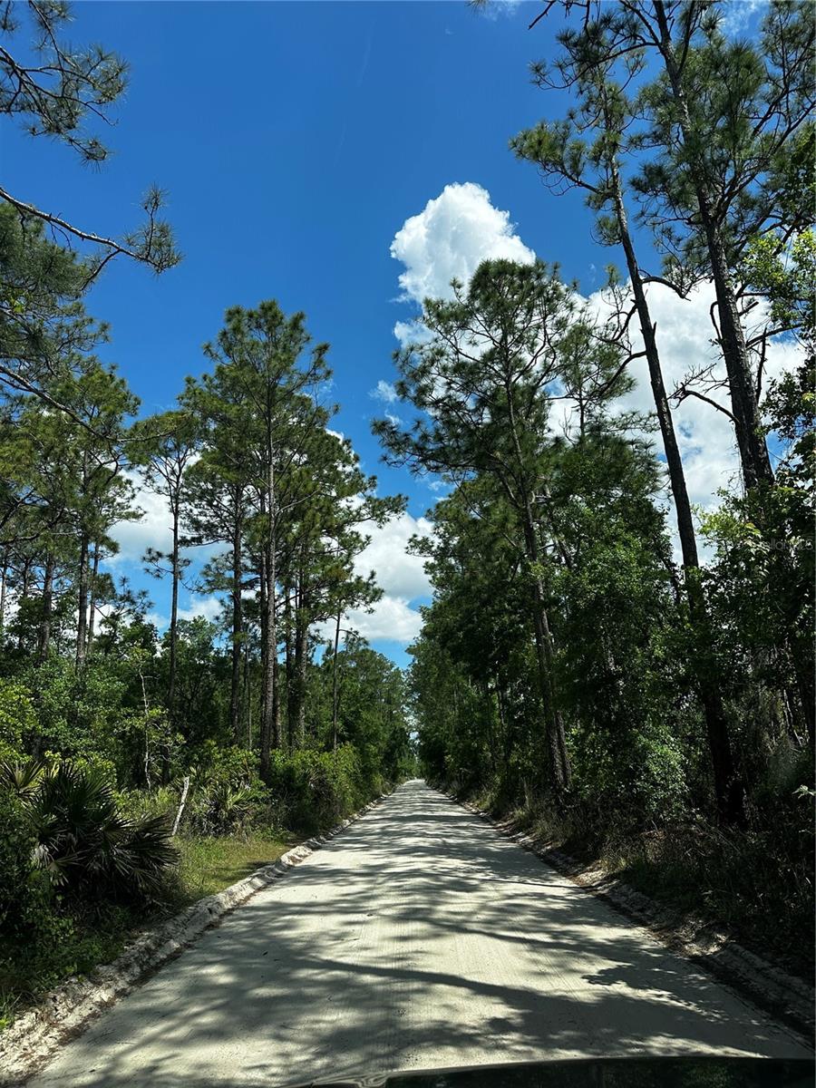 00 KOLA RD, NEW SMYRNA BEACH, FL — photo 4