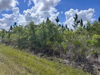 115 JAPONICA AVE, INDIAN LAKE ESTATES, FL
