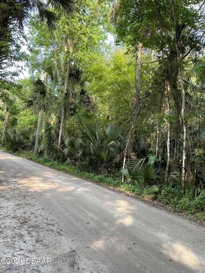 1877 TURTLE HILL RD, DELTONA, FL — photo 19