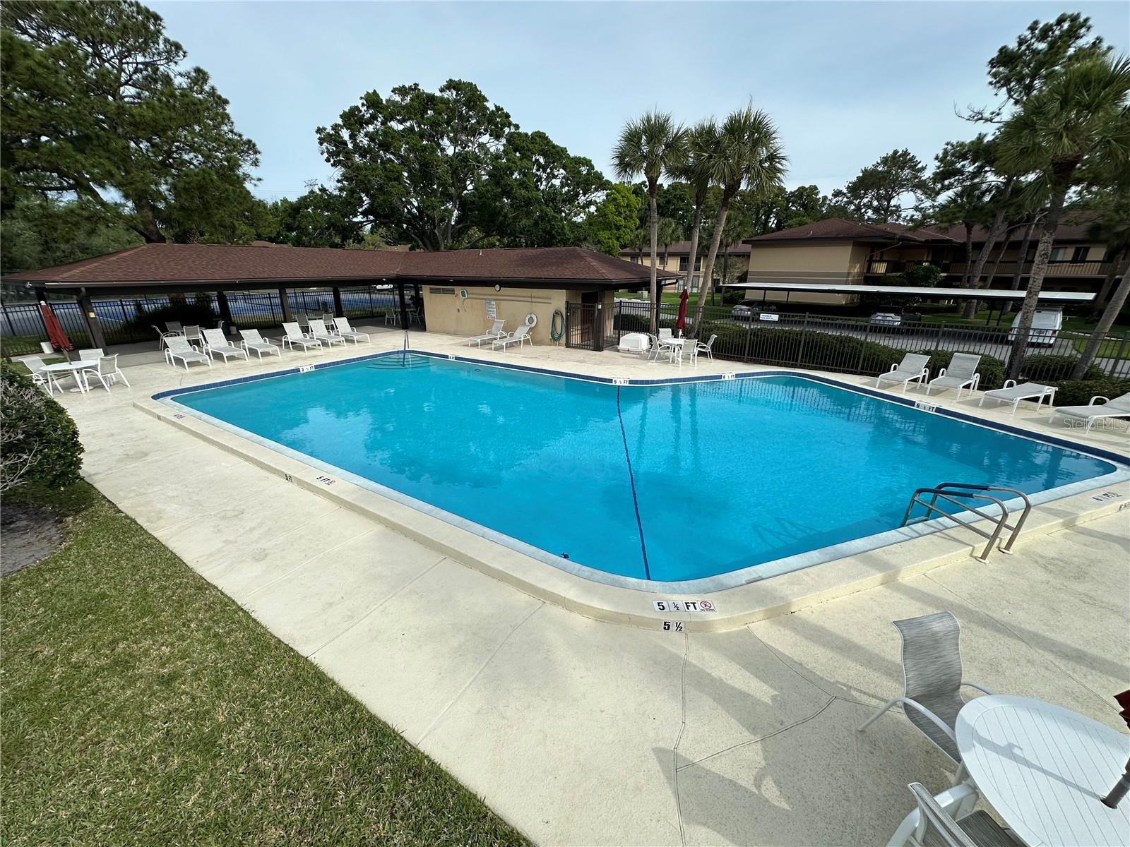 2691 SABAL SPRINGS CIR #201, CLEARWATER, FL — photo 62