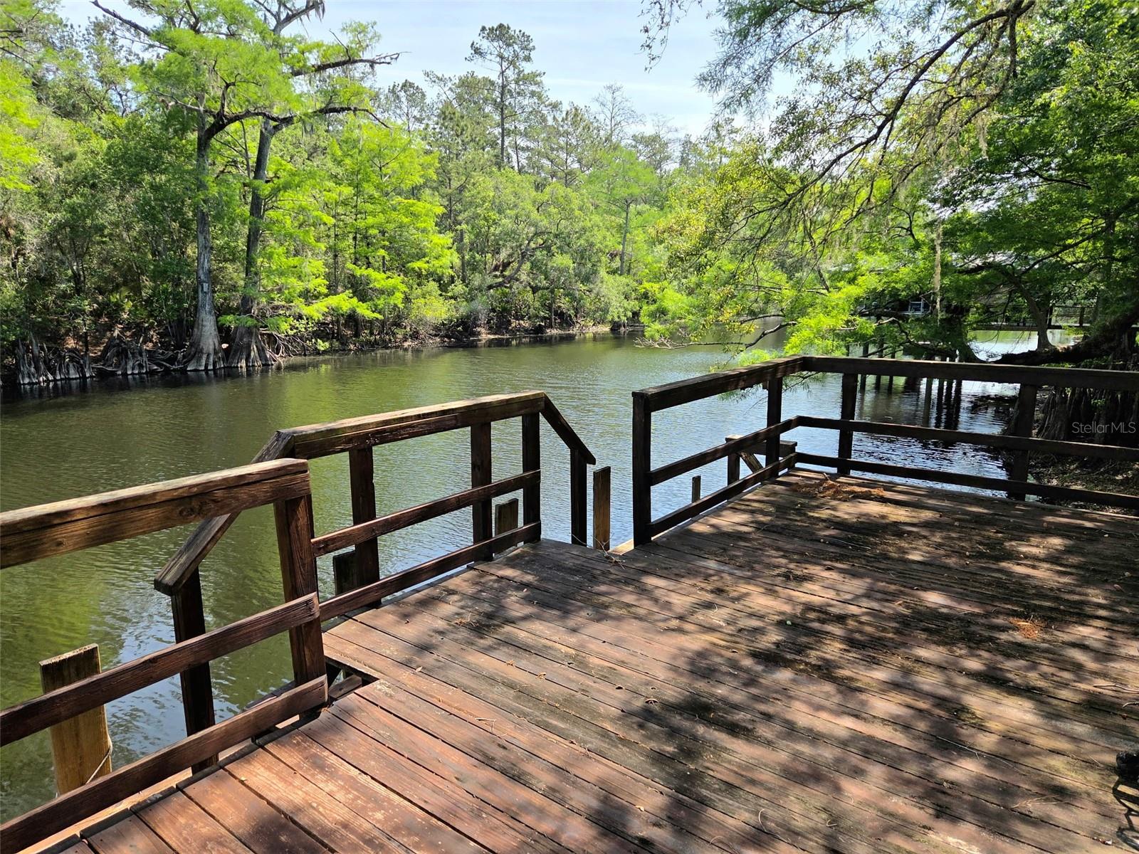 2975 E WITHLACOOCHEE TRL, DUNNELLON, FL — photo 59