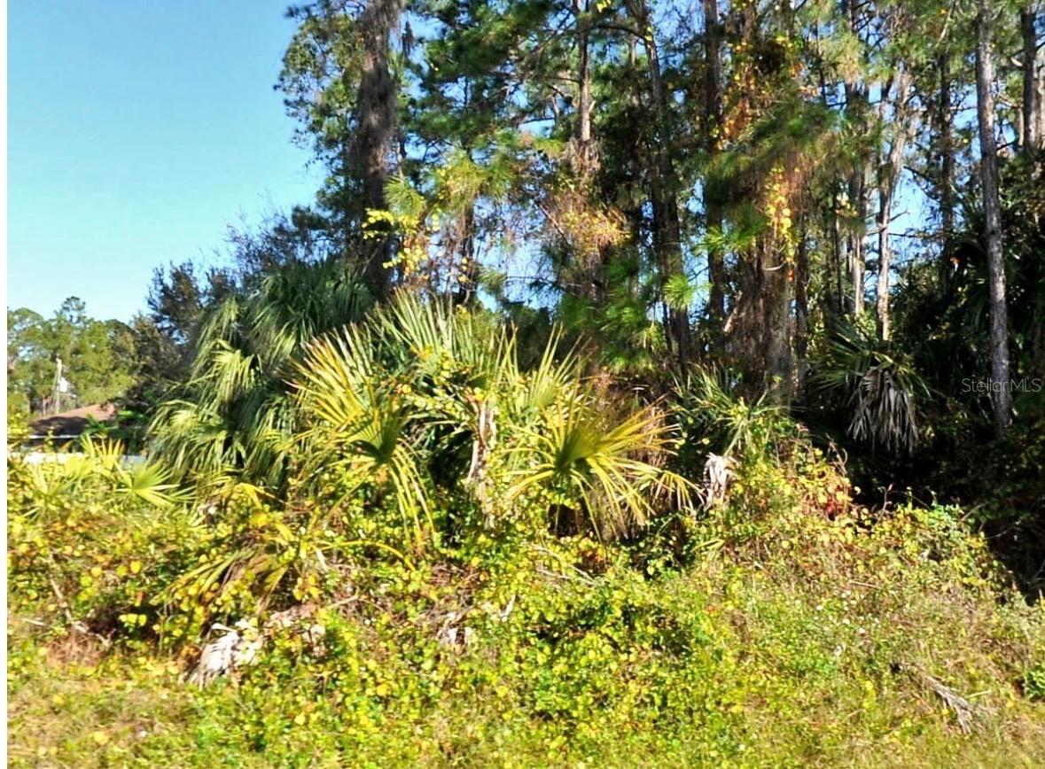 ZAMBRANA AVE, NORTH PORT, FL