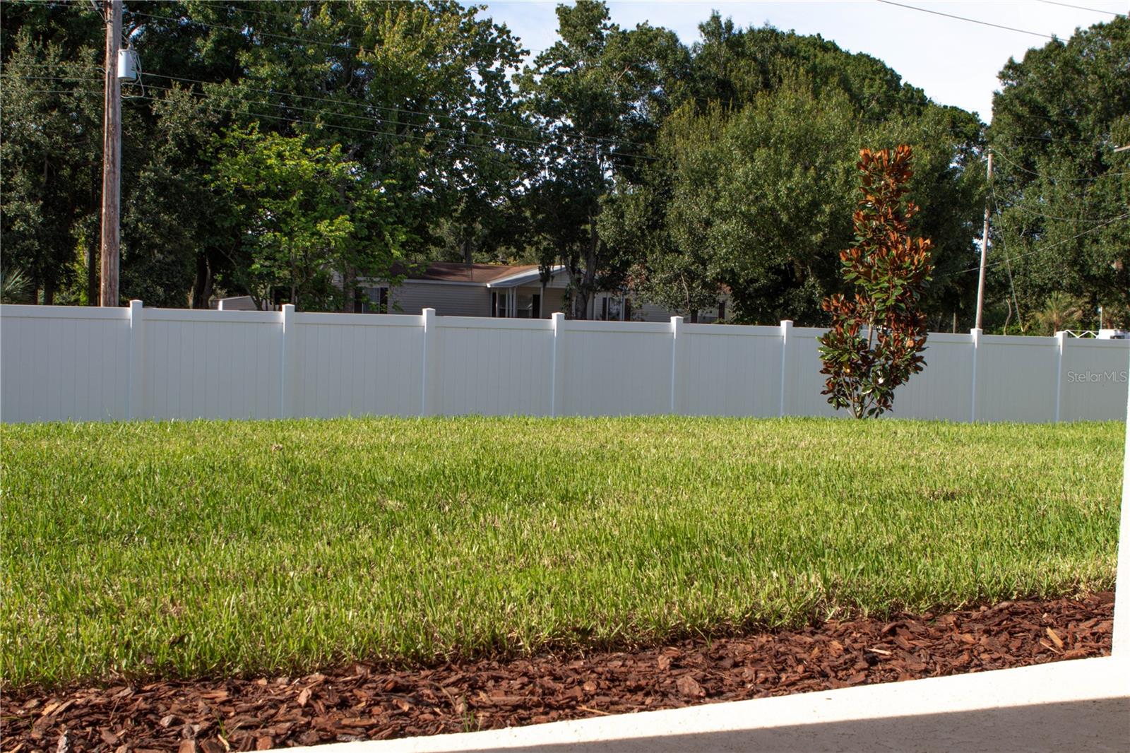 8004 PRAISE DR, TAMPA, FL — photo 43