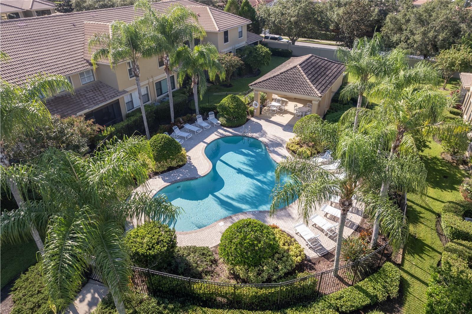 2527 SILVERBACK CT, PALM HARBOR, FL — photo 4