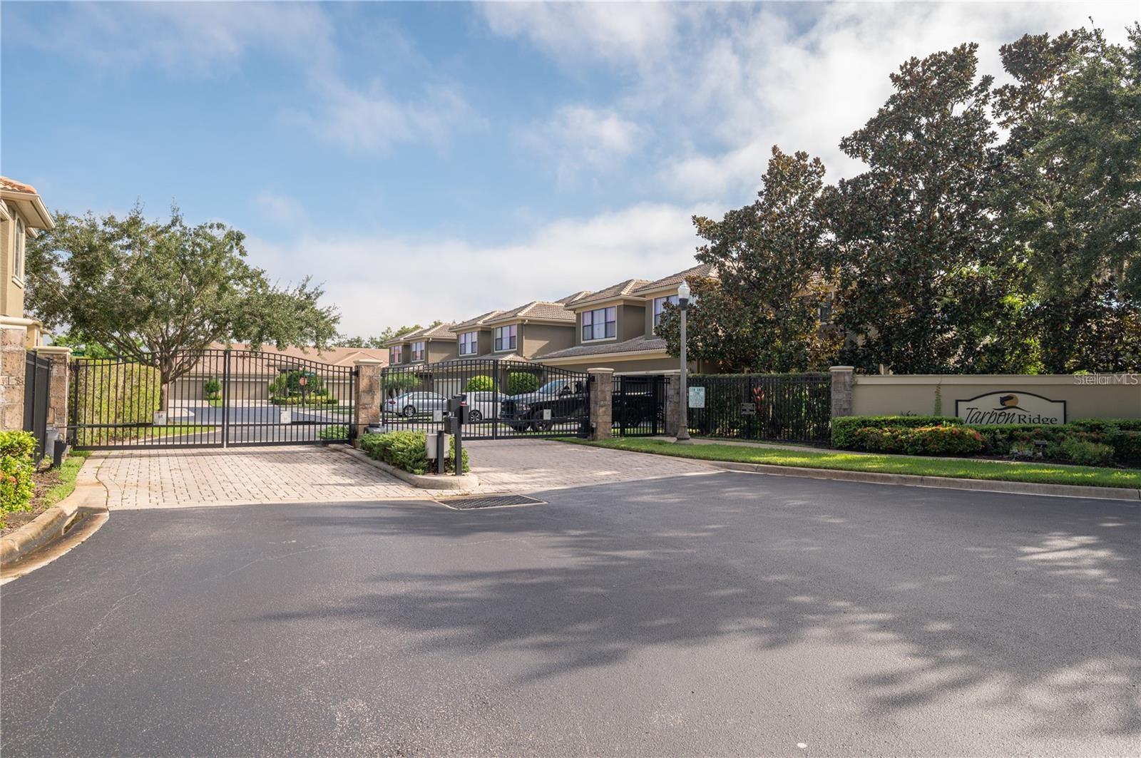 2527 SILVERBACK CT, PALM HARBOR, FL — photo 5