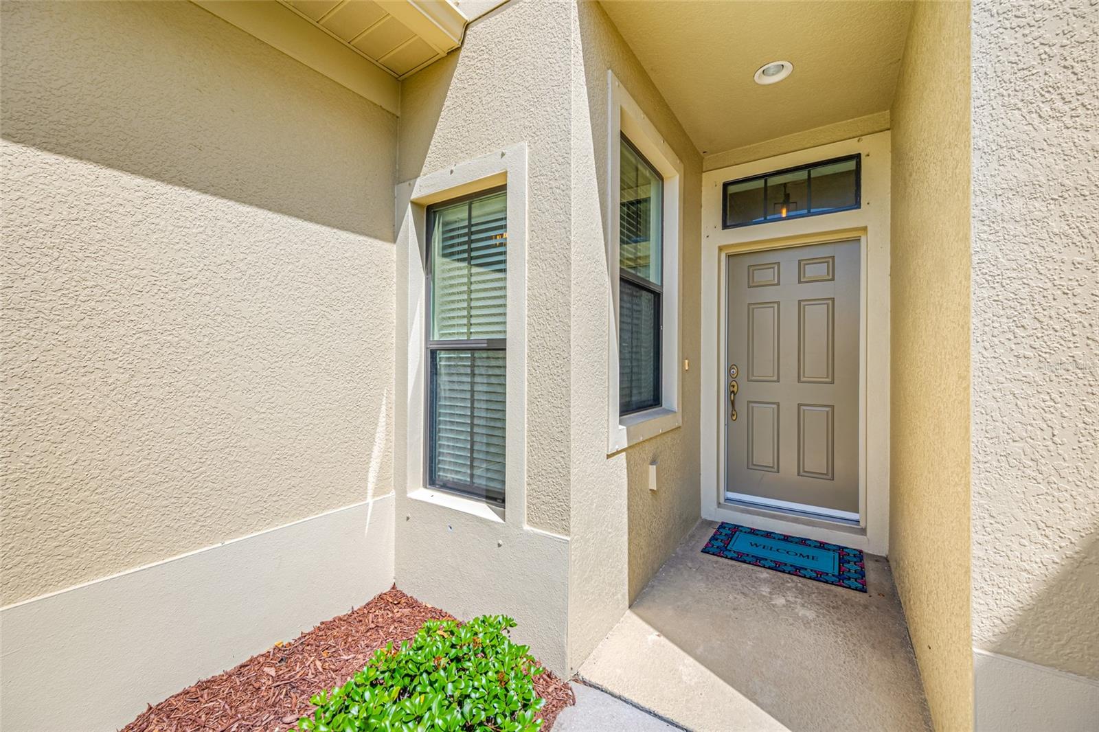 2527 SILVERBACK CT, PALM HARBOR, FL — photo 7