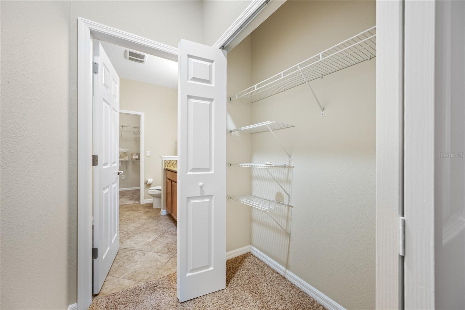 2527 SILVERBACK CT, PALM HARBOR, FL — photo 29
