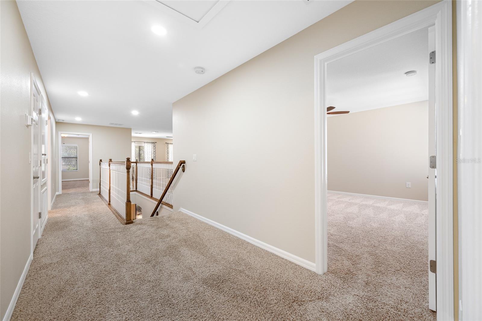 2527 SILVERBACK CT, PALM HARBOR, FL — photo 35