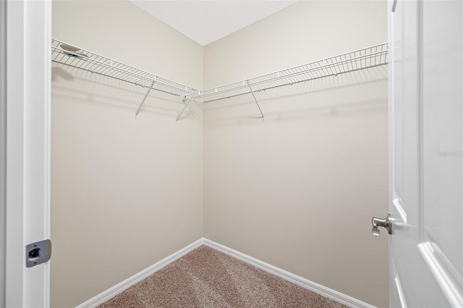 2527 SILVERBACK CT, PALM HARBOR, FL — photo 42