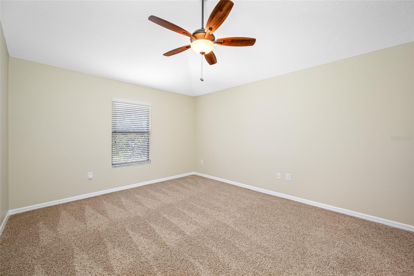 2527 SILVERBACK CT, PALM HARBOR, FL — photo 45