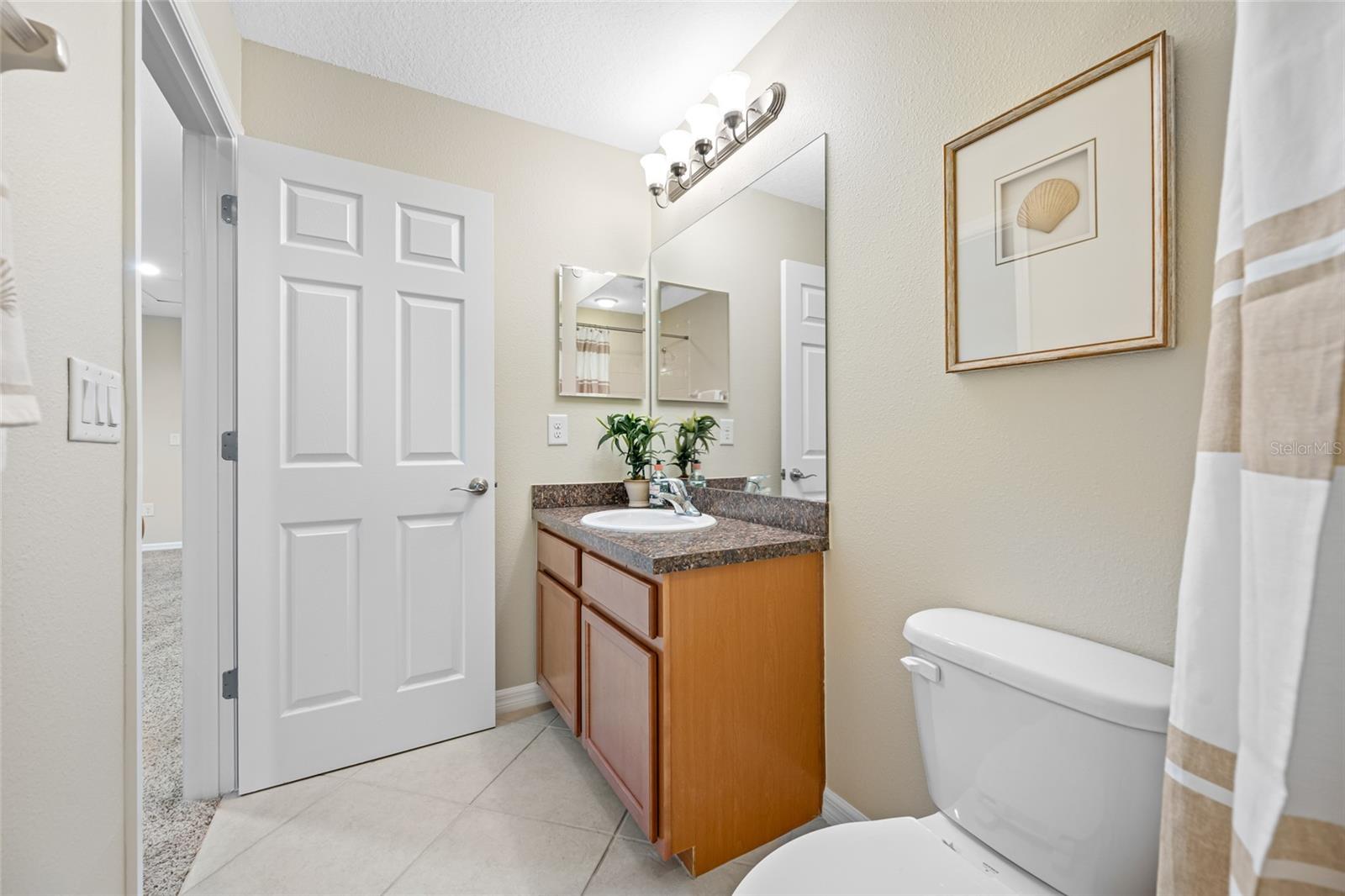 2527 SILVERBACK CT, PALM HARBOR, FL — photo 47