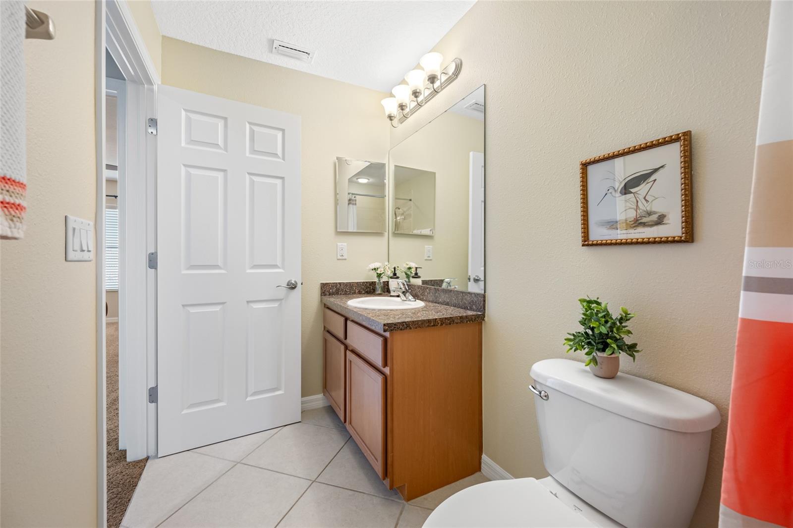2527 SILVERBACK CT, PALM HARBOR, FL — photo 50