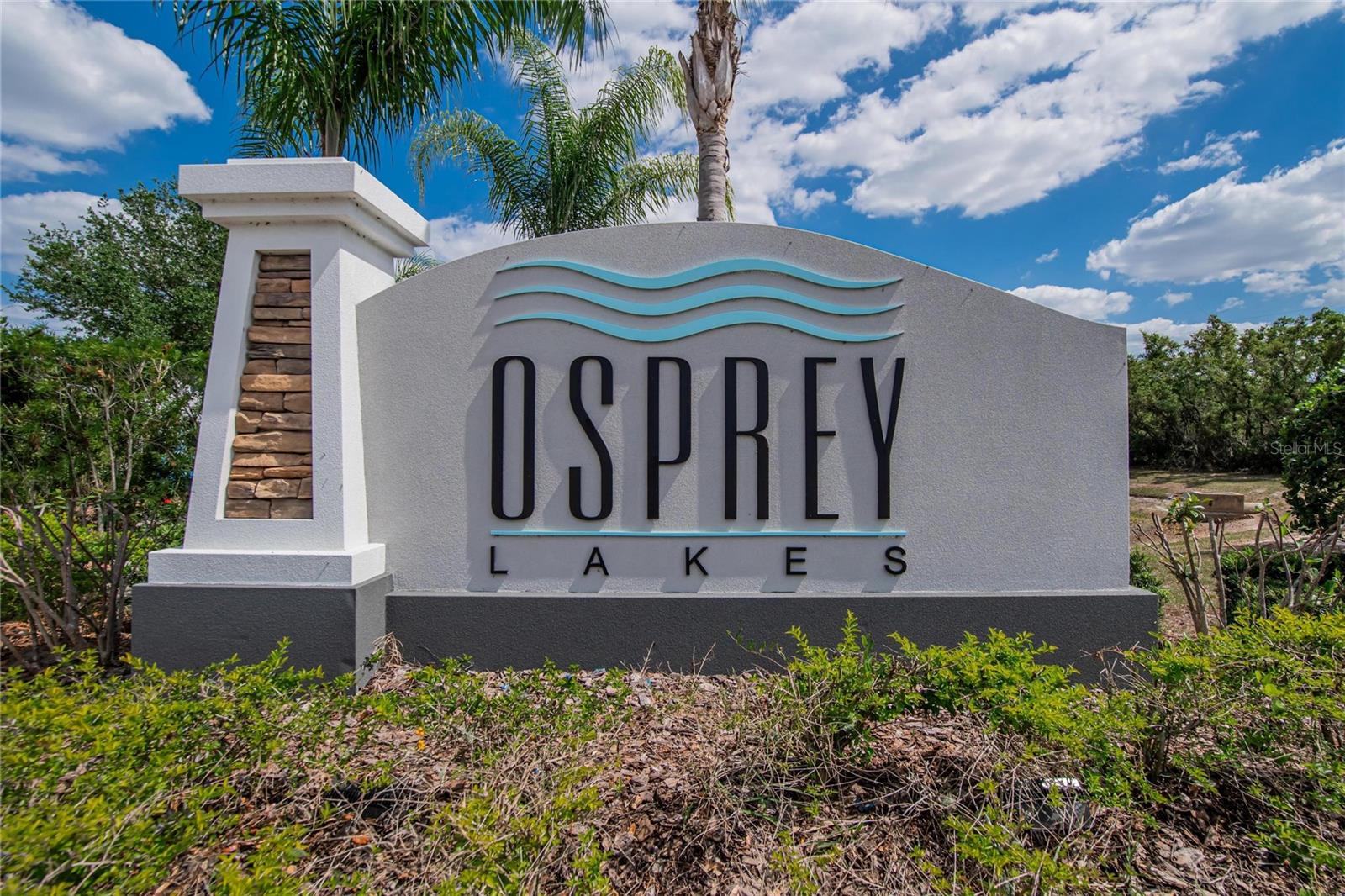 8850 INDIGO TRAIL LOOP, RIVERVIEW, FL — photo 70