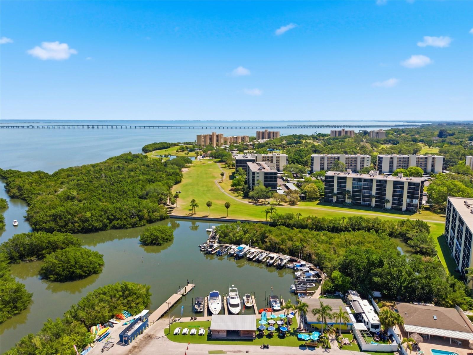 2616 COVE CAY DR #602, CLEARWATER, FL — photo 56