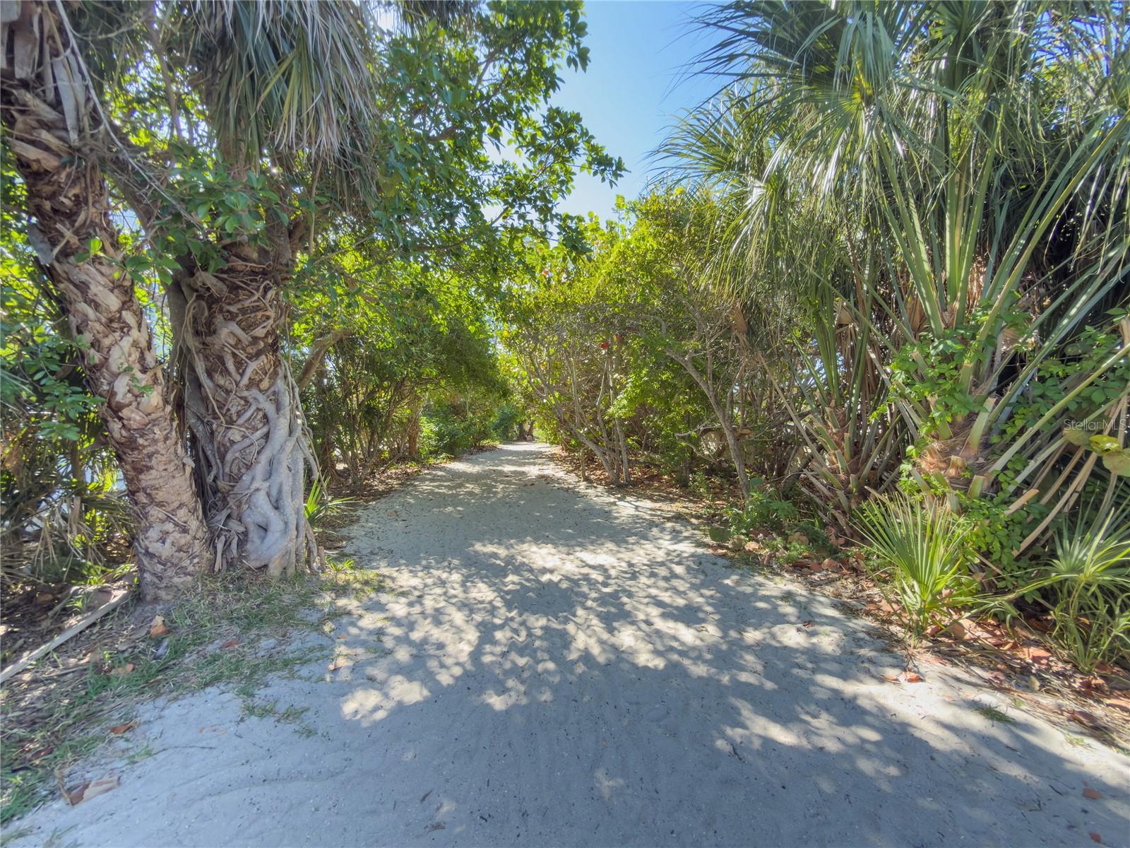 416 ALAMANDA RD, ANNA MARIA, FL — photo 95
