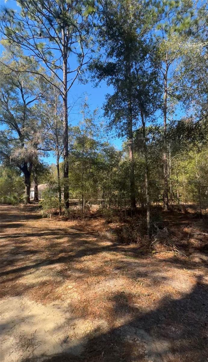 TBD SW 22ND PL, OCALA, FL