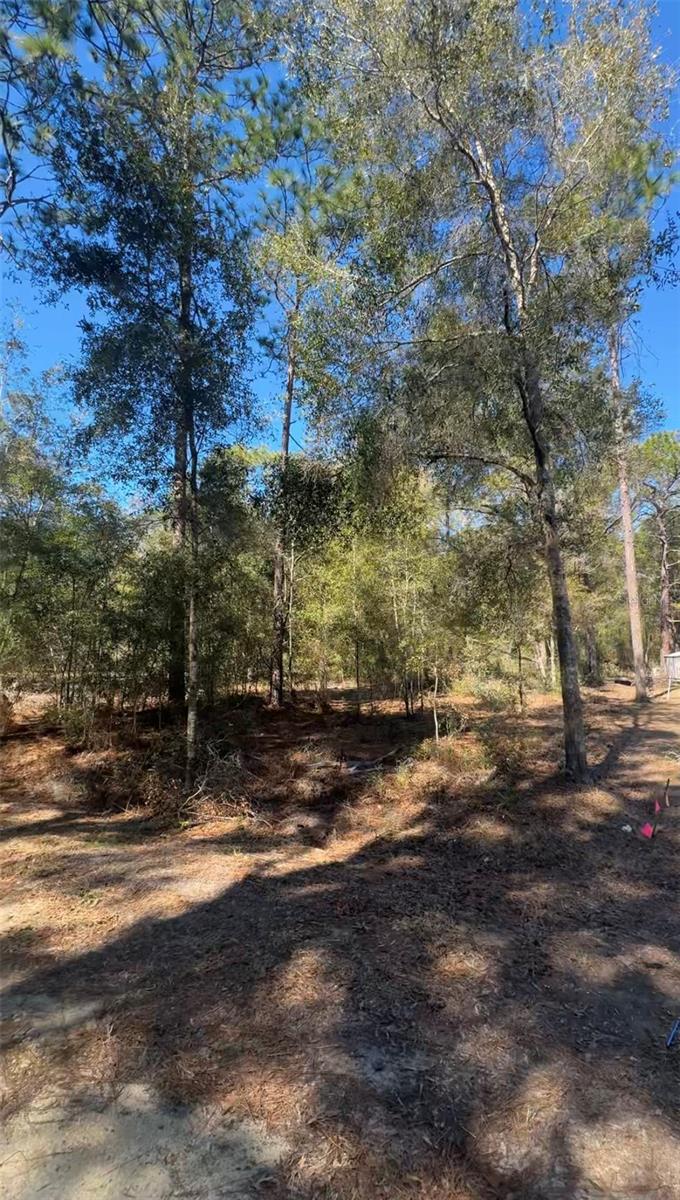 TBD SW 22ND PL, OCALA, FL — photo 2