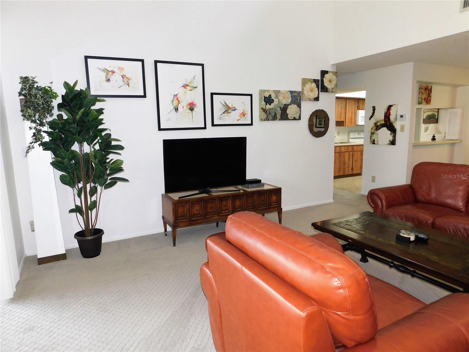 70 JOANNE PL #70, OLDSMAR, FL — photo 8