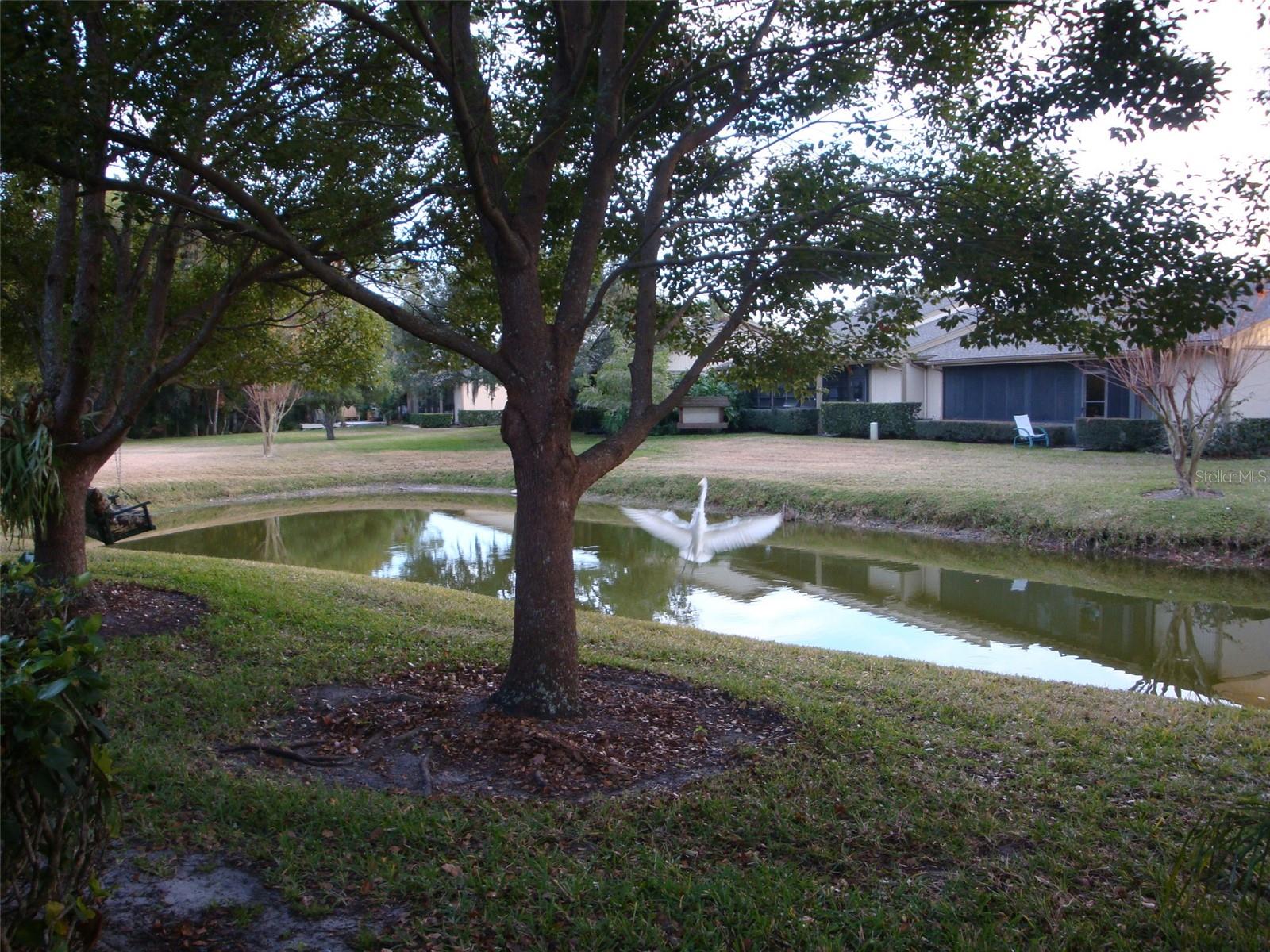 70 JOANNE PL #70, OLDSMAR, FL — photo 24