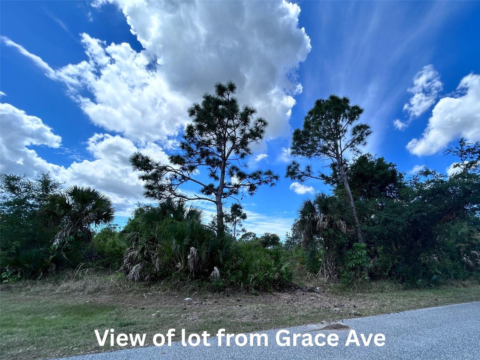 12231 GRACE AVE, PORT CHARLOTTE, FL — photo 2