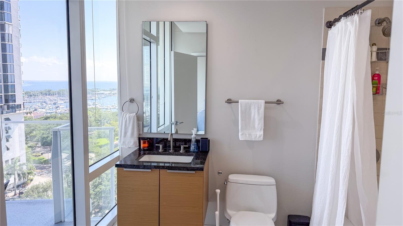 175 1ST ST S #1108, ST PETERSBURG, FL — photo 12