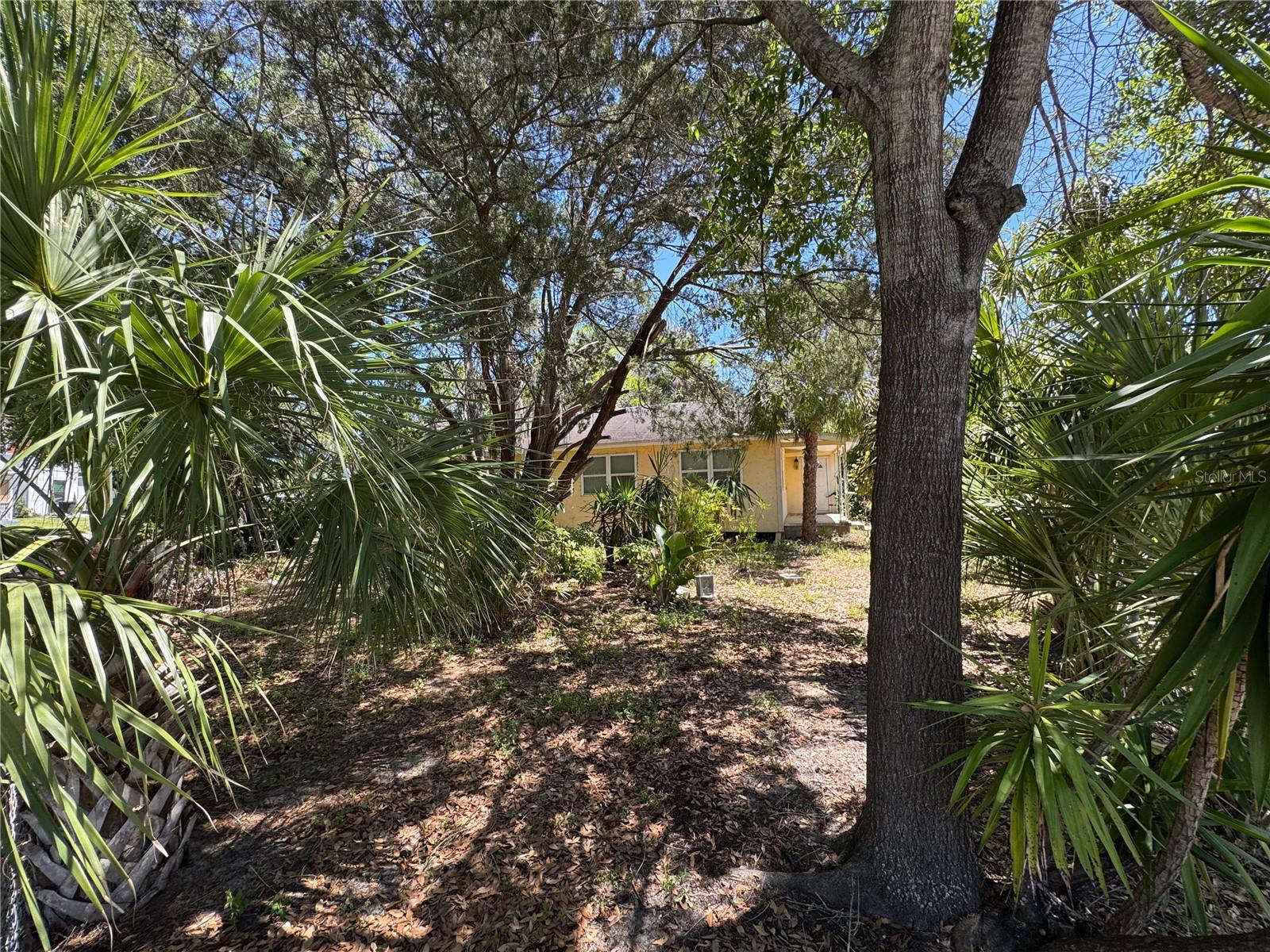 72 ADA ST, TARPON SPRINGS, FL — photo 12