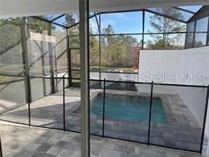 1396 PEACEFUL NATURE WAY #1396, CLERMONT, FL — photo 13