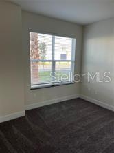 1396 PEACEFUL NATURE WAY #1396, CLERMONT, FL — photo 21