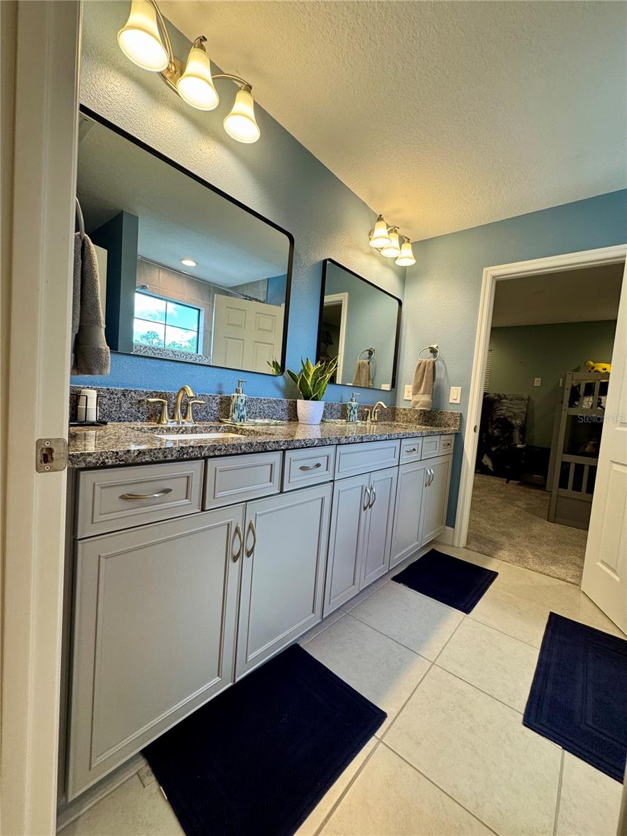 12870 TWIN BRIDGES DR, RIVERVIEW, FL — photo 47