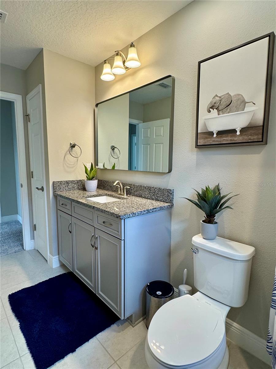 12870 TWIN BRIDGES DR, RIVERVIEW, FL — photo 53