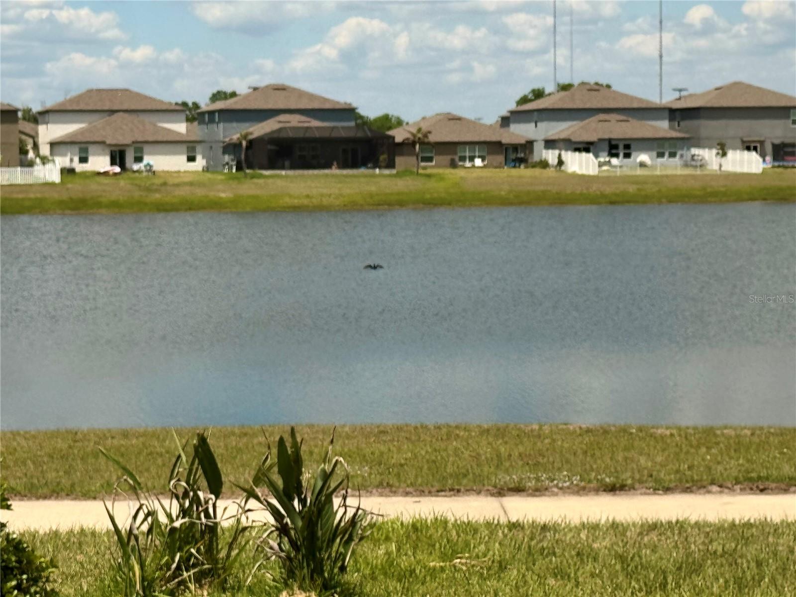 12870 TWIN BRIDGES DR, RIVERVIEW, FL — photo 56