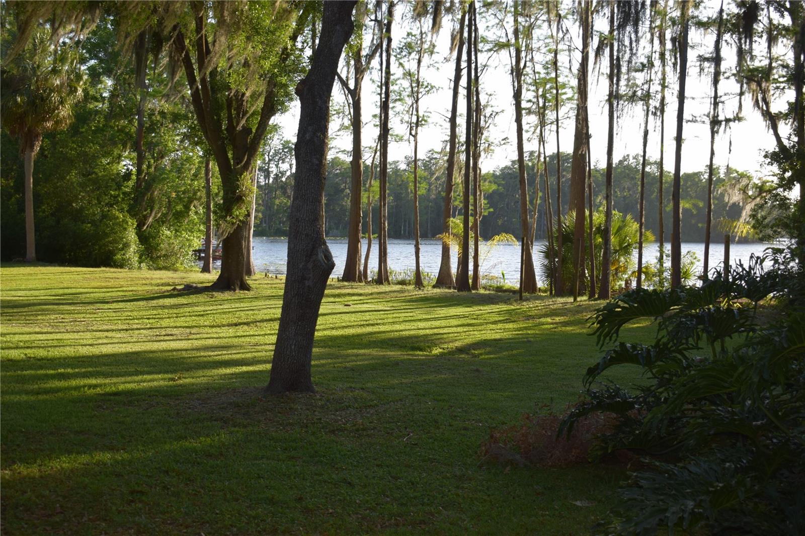 16308 ROCK LAKE DR, ODESSA, FL