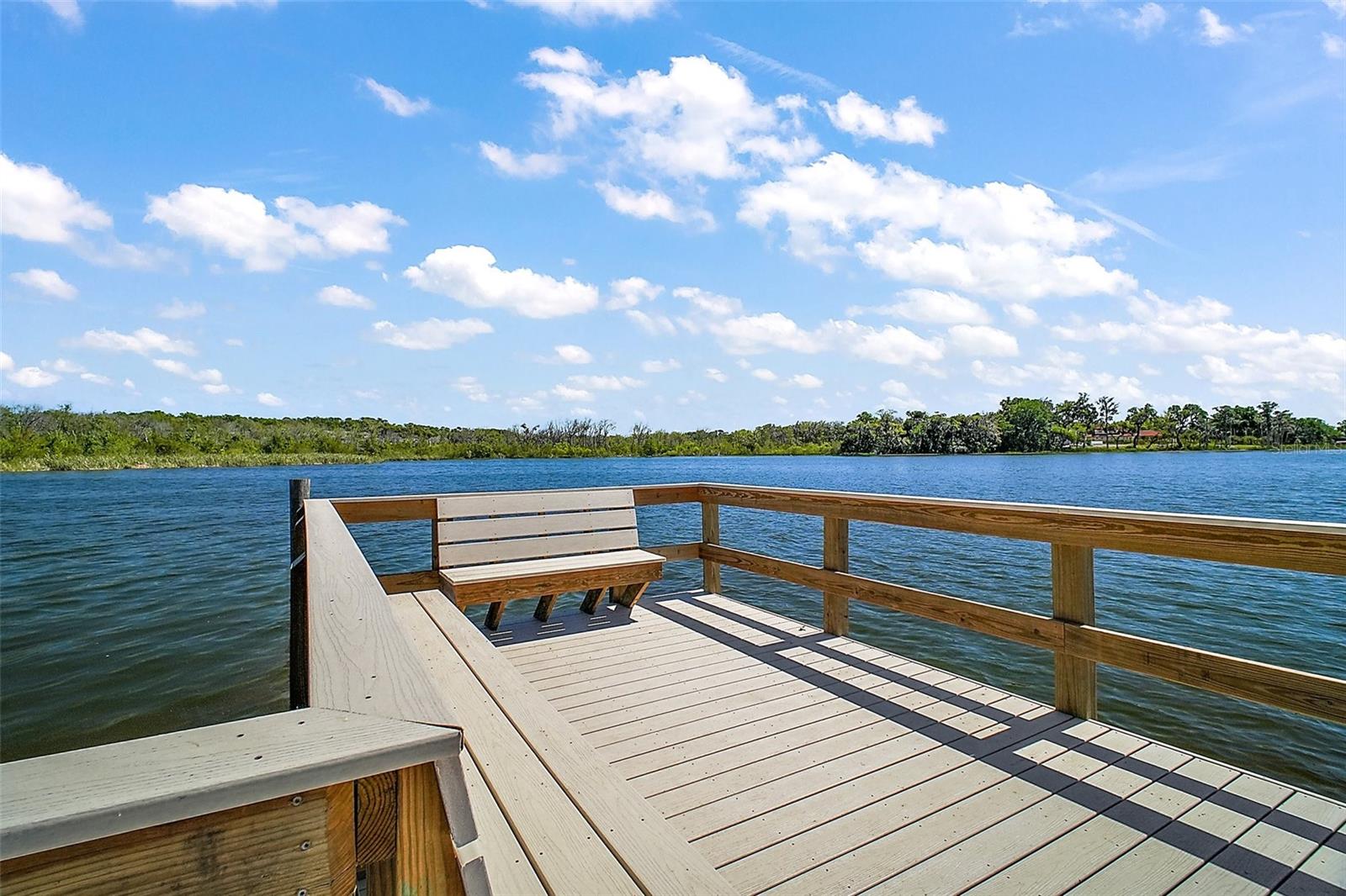 605 SANDLAKE CT, MOUNT DORA, FL — photo 109