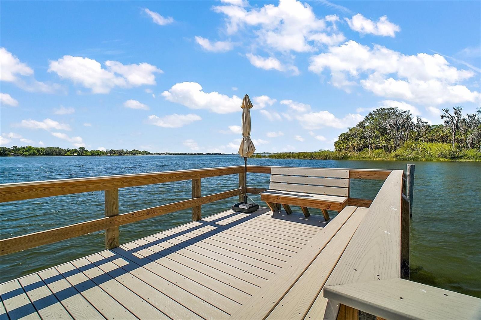 605 SANDLAKE CT, MOUNT DORA, FL — photo 114