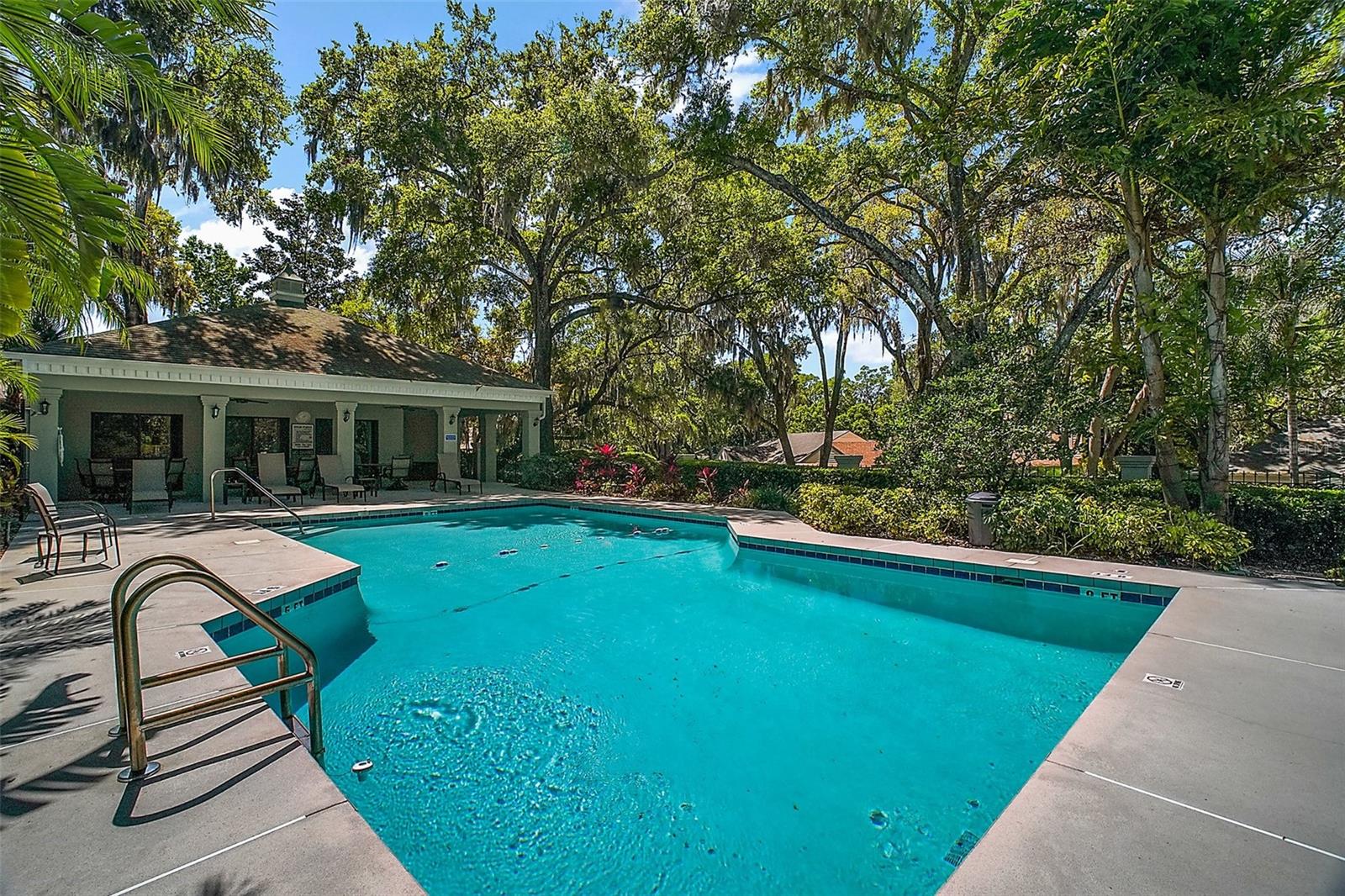 605 SANDLAKE CT, MOUNT DORA, FL — photo 116