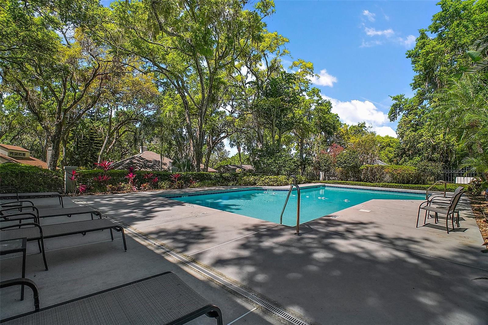 605 SANDLAKE CT, MOUNT DORA, FL — photo 118