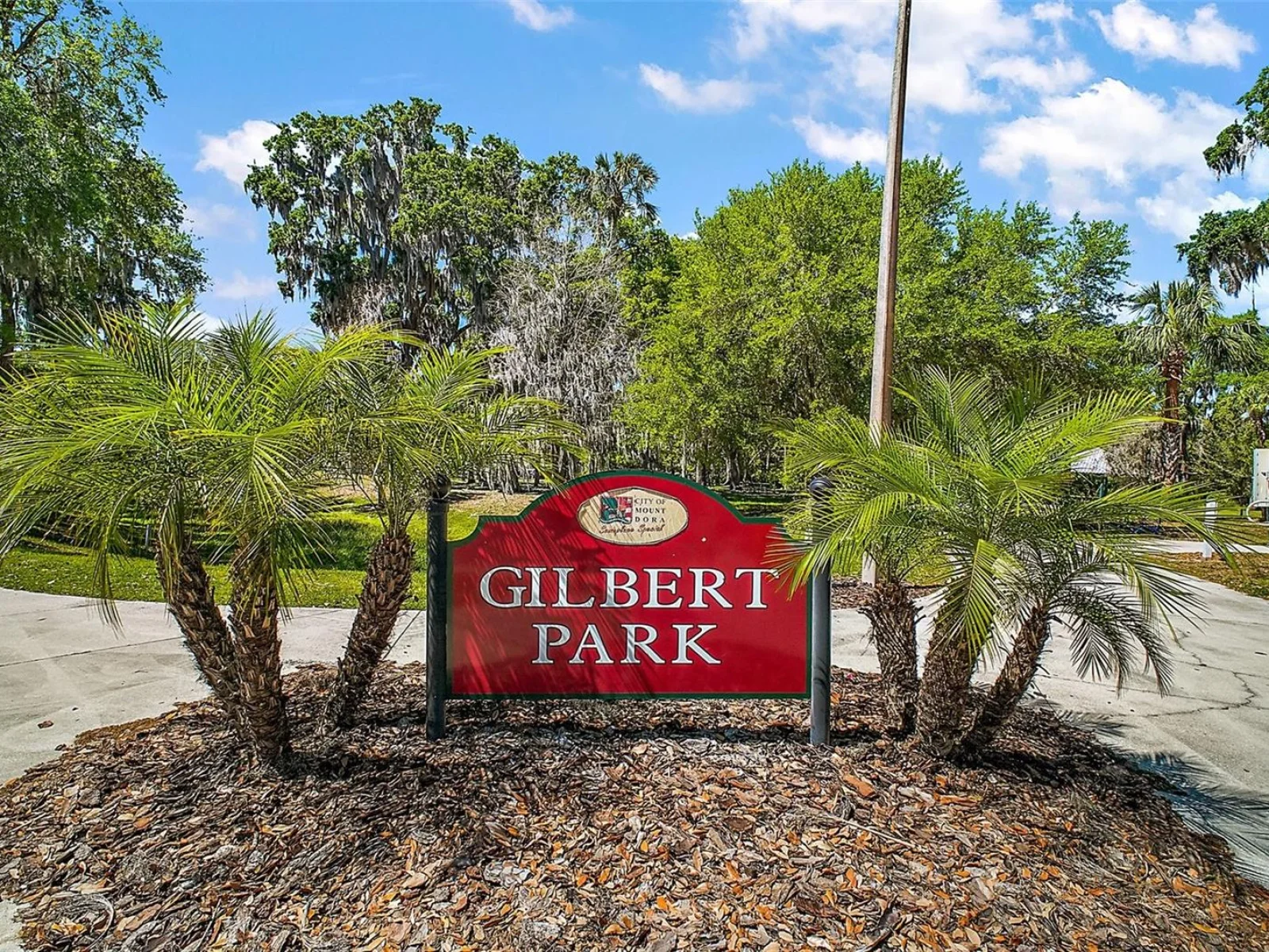 605 SANDLAKE CT, MOUNT DORA, FL — photo 139