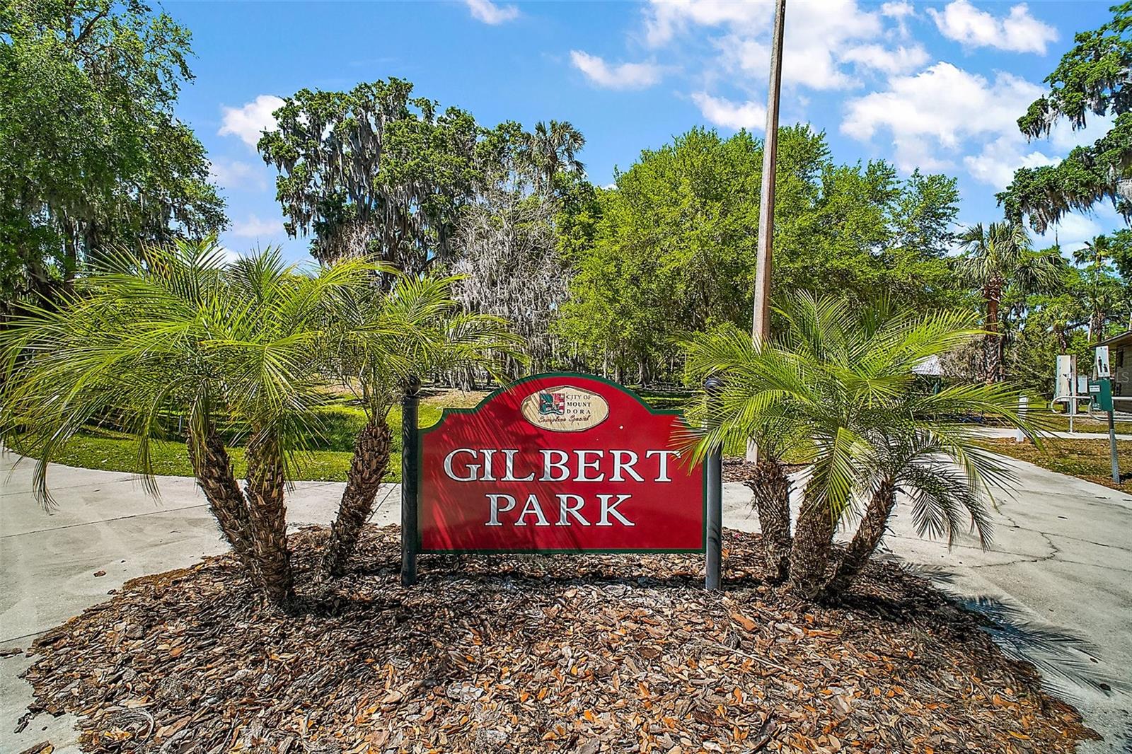 605 SANDLAKE CT, MOUNT DORA, FL — photo 140