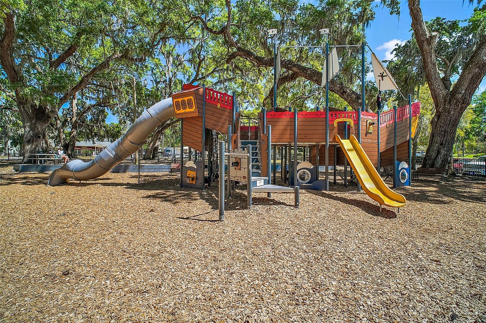 605 SANDLAKE CT, MOUNT DORA, FL — photo 143